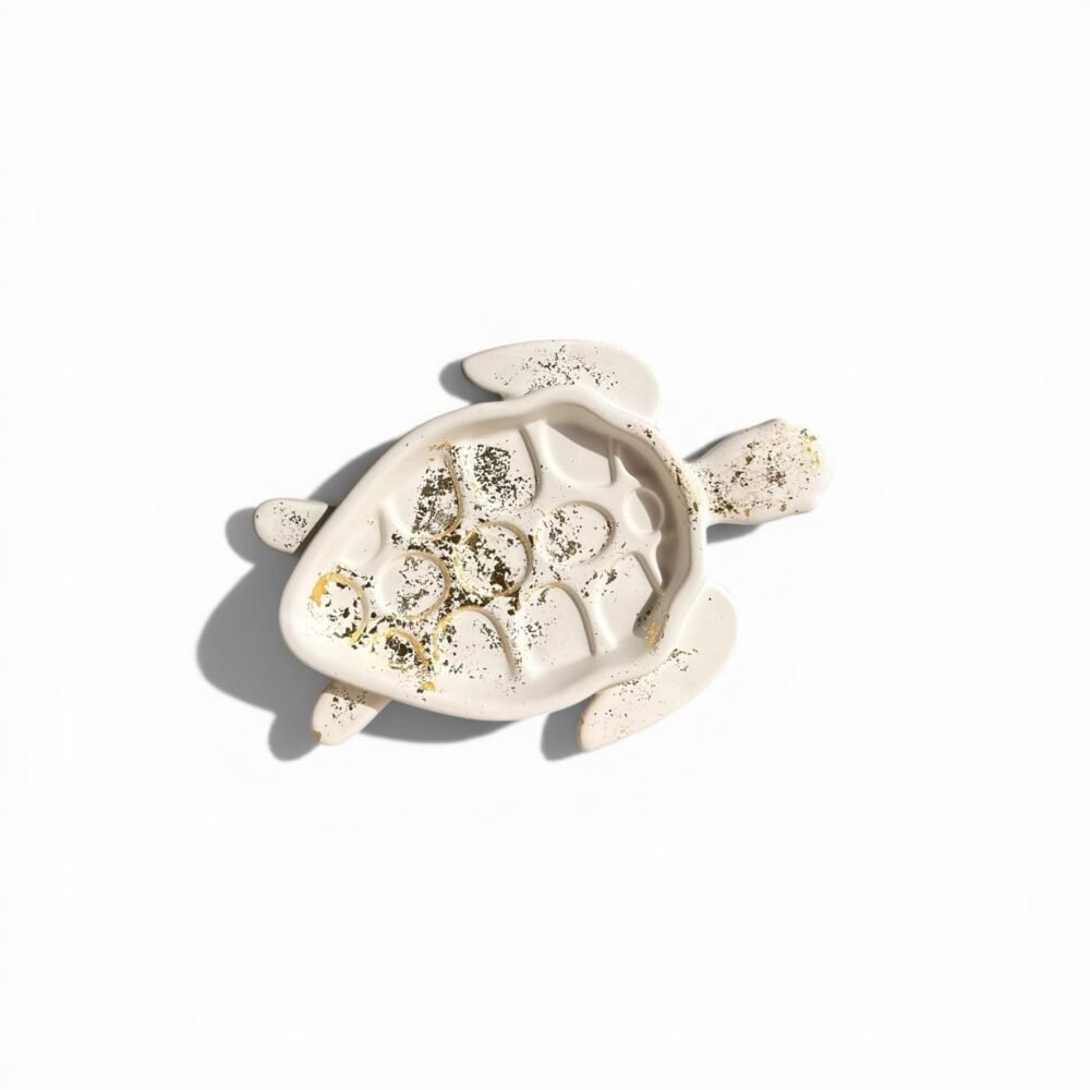 Gipsen Schildpad🐢