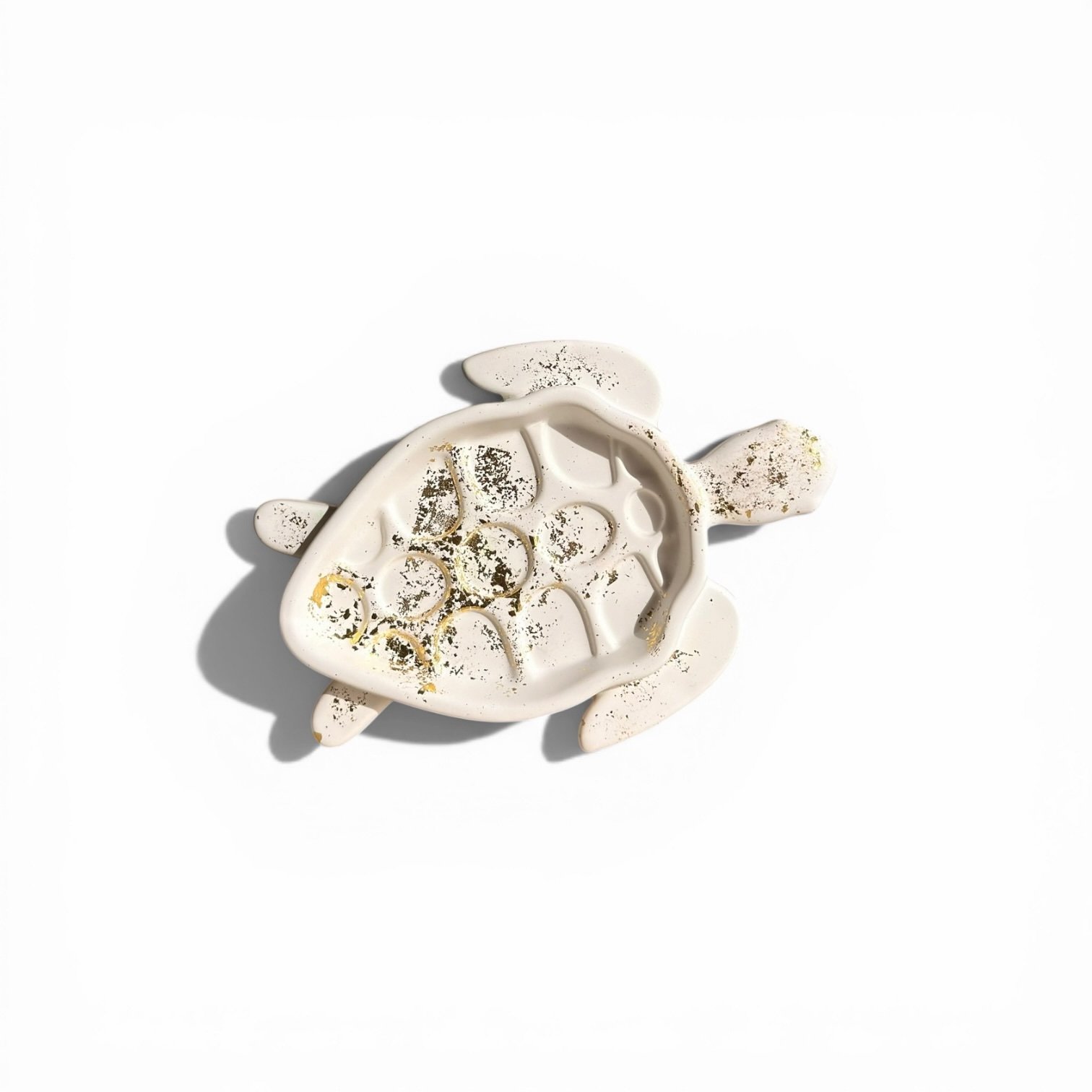 Gipsen Schildpad🐢